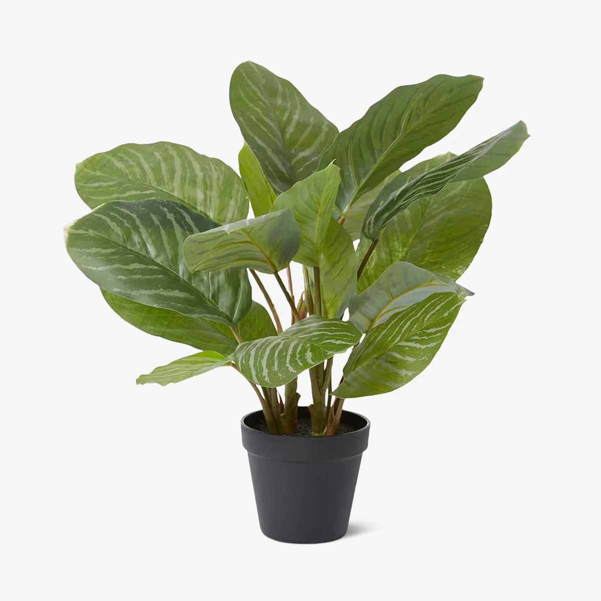Artificial Aglaonema Potted Plant