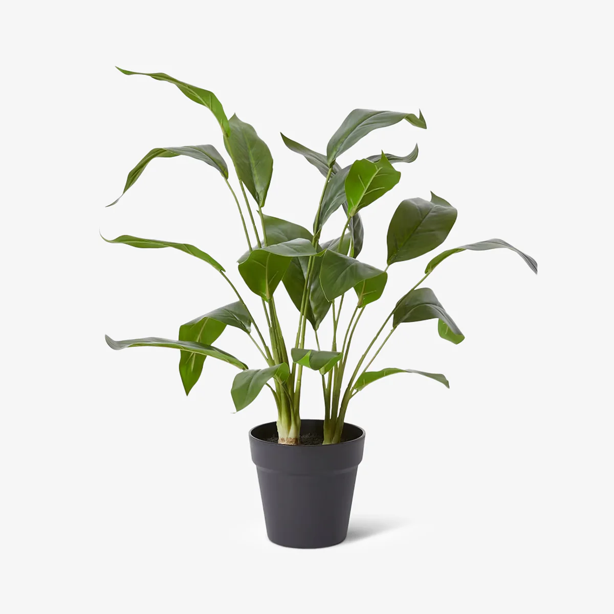 Artificial Cordyline Potted Plant
