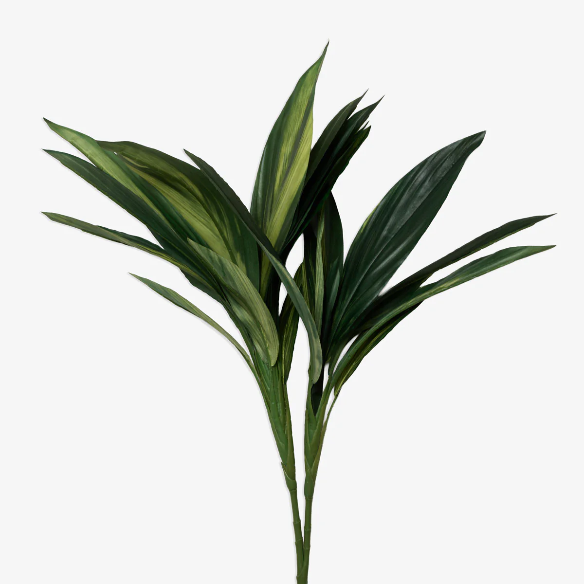 Artificial Cordyline Spray Green 76cm