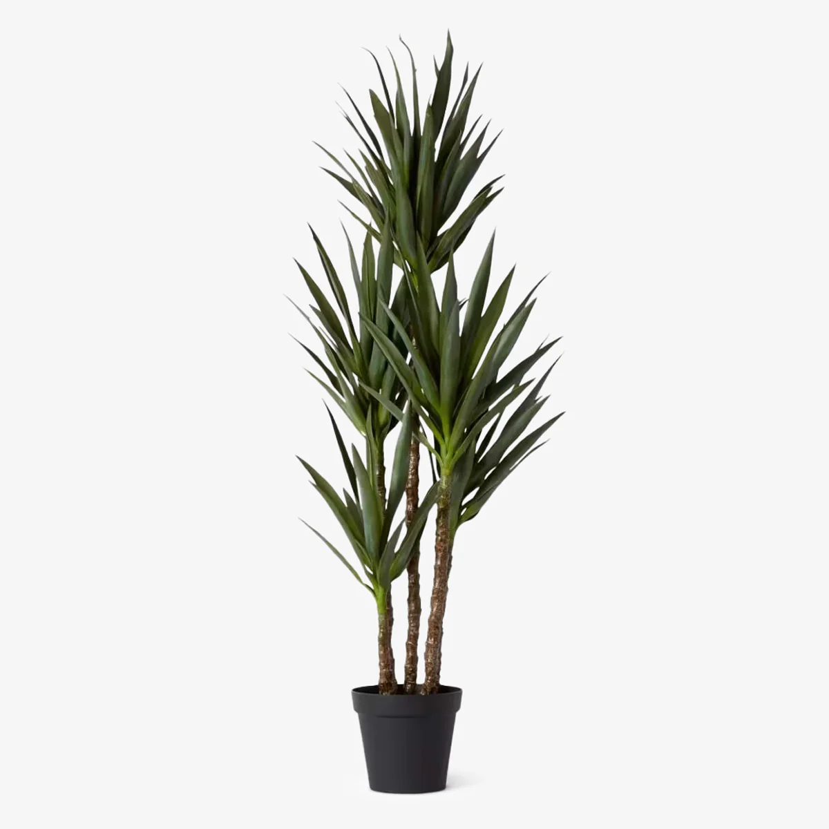 Artificial Dracaena Spikey Plants