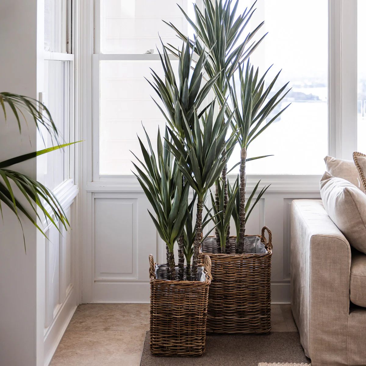 Artificial Dracaena Spikey Plants - Image 2