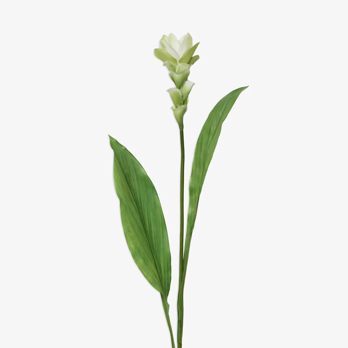 Artificial Ginger Flower Spray 84cm