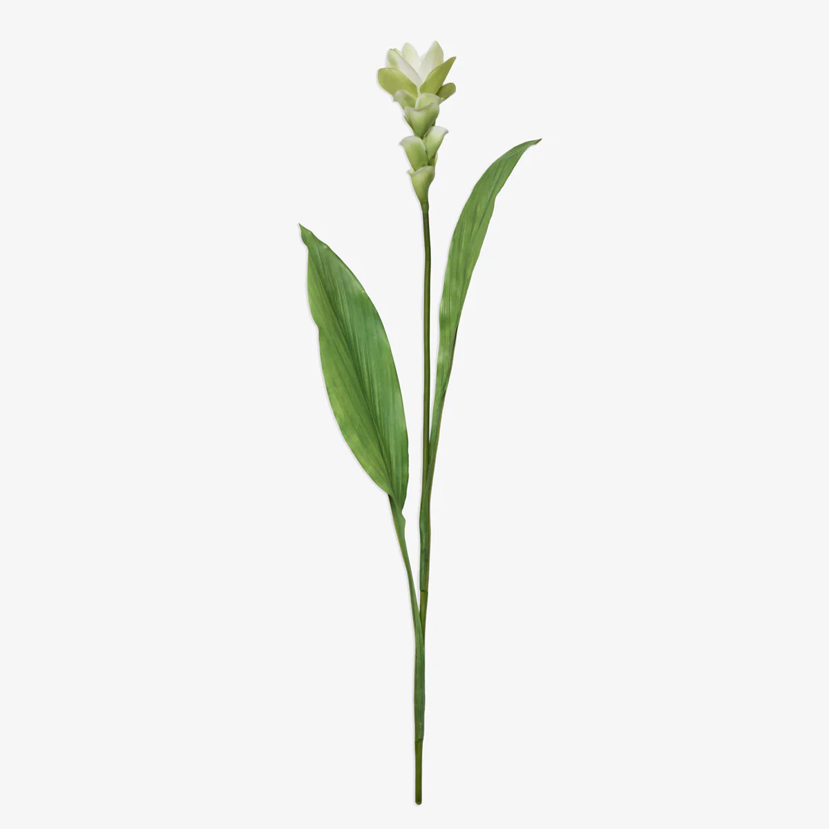 Artificial Ginger Flower Spray 84cm - Image 3