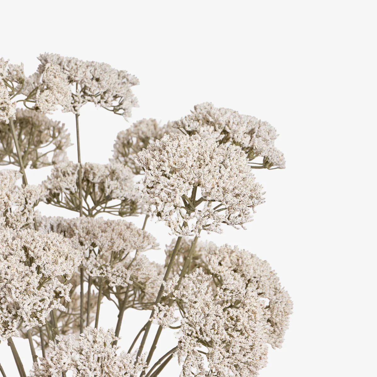 Artificial Lace Flower in Pot 60cm - Image 3