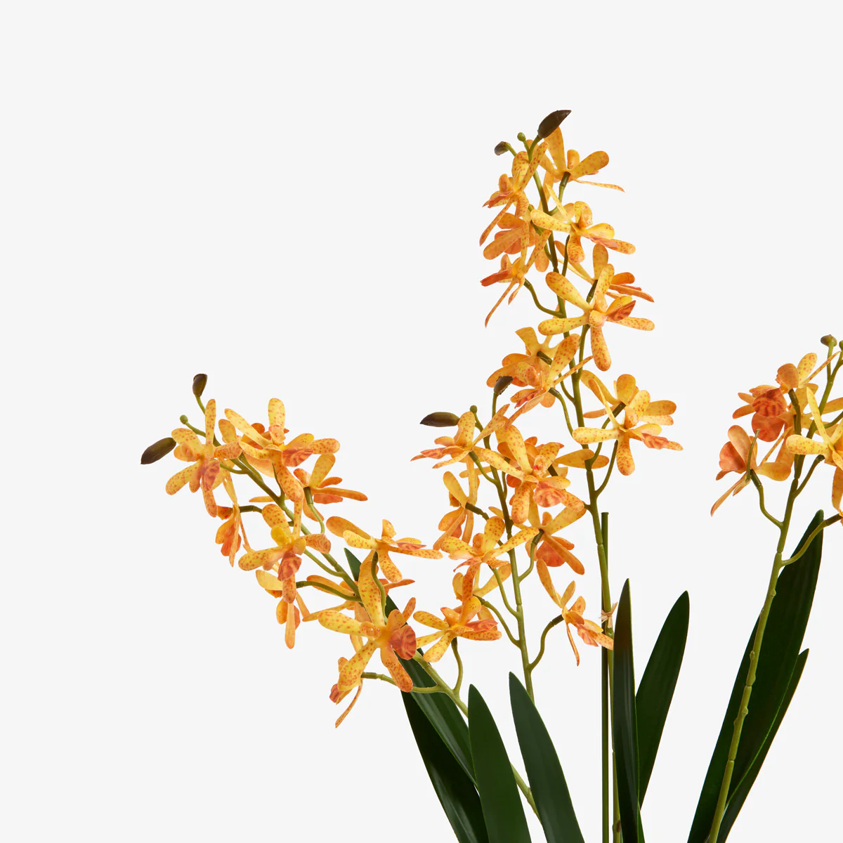 Artificial Mini Orchid Four Spray 53cm (Apricot) - Image 3