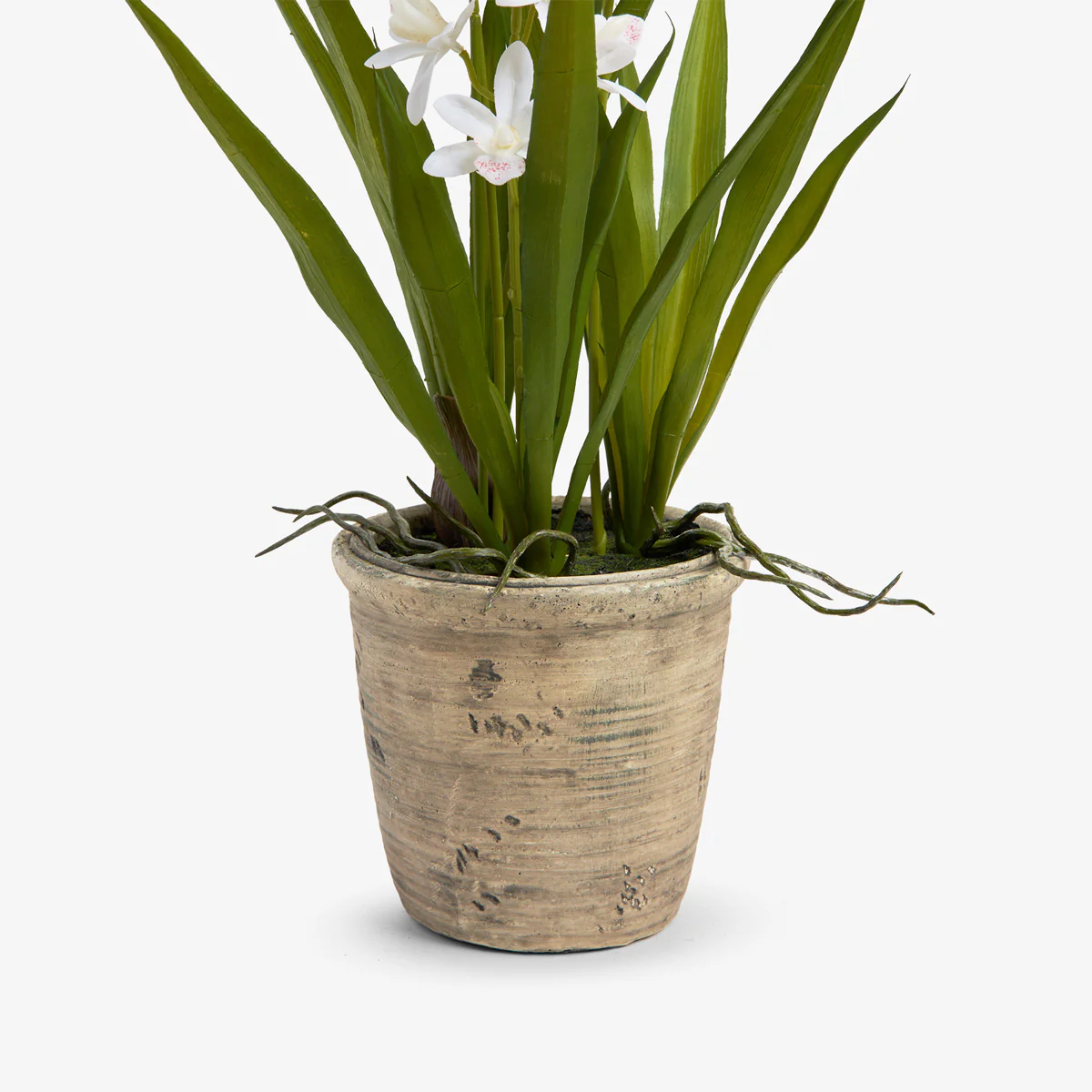 Artificial Mini Orchid Three Spray Cement Pot 51cm (White) - Image 4