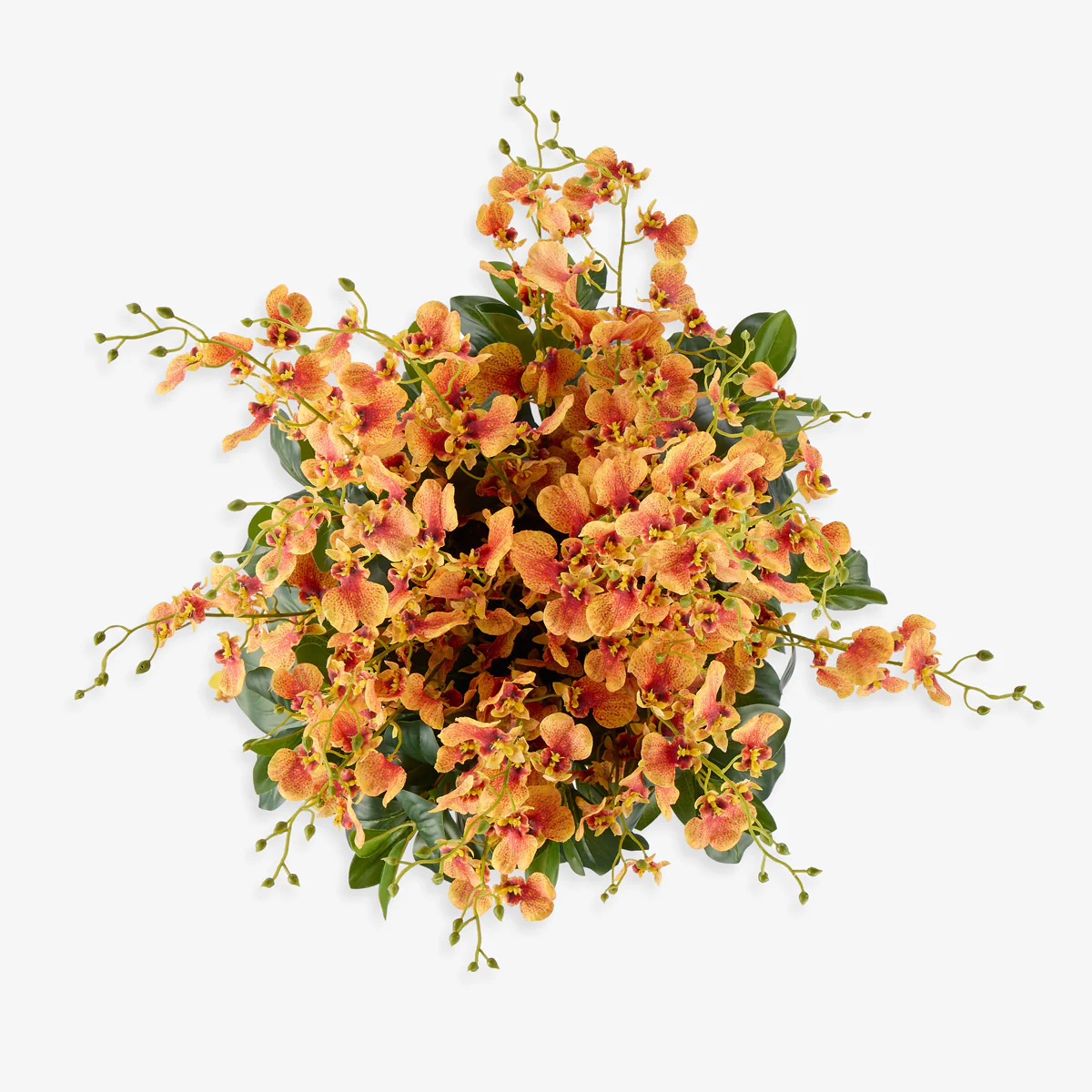 Artificial Orange Dancing Orchid In Madelyn Bowl (49cm) - Image 3