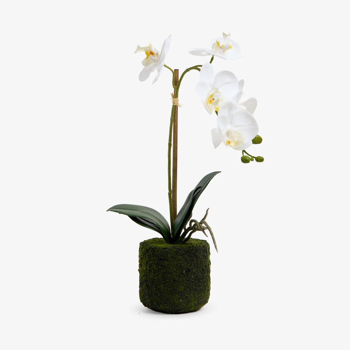 Artificial Orchid One Spray 46cm (White)