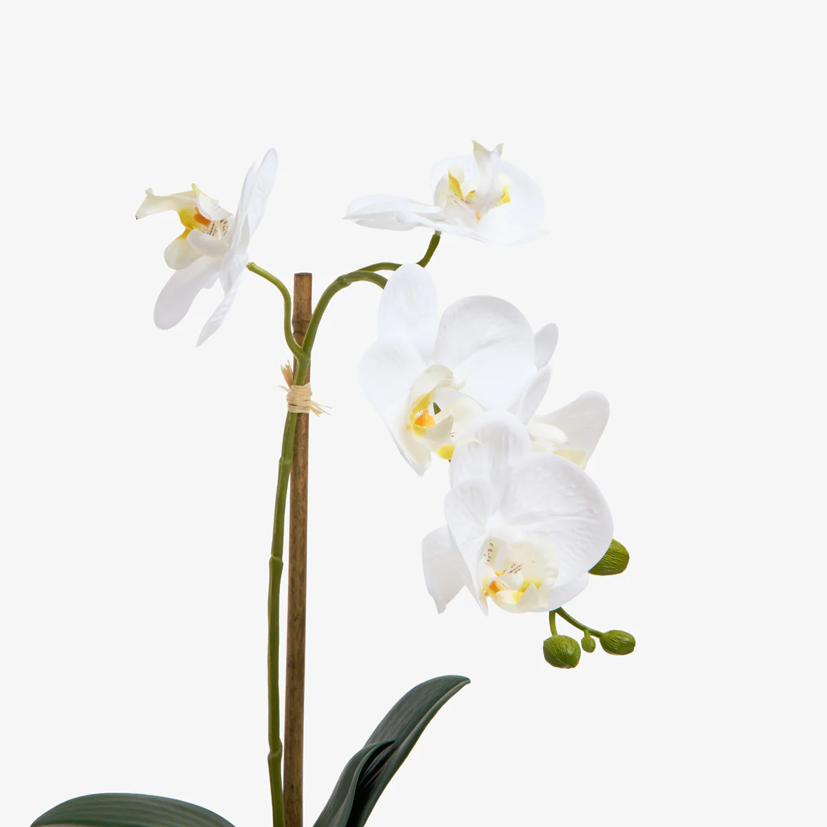 Artificial Orchid One Spray 46cm (White) - Image 3