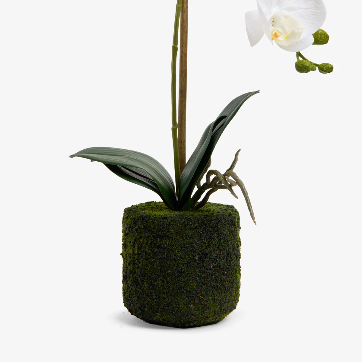 Artificial Orchid One Spray 46cm (White) - Image 4