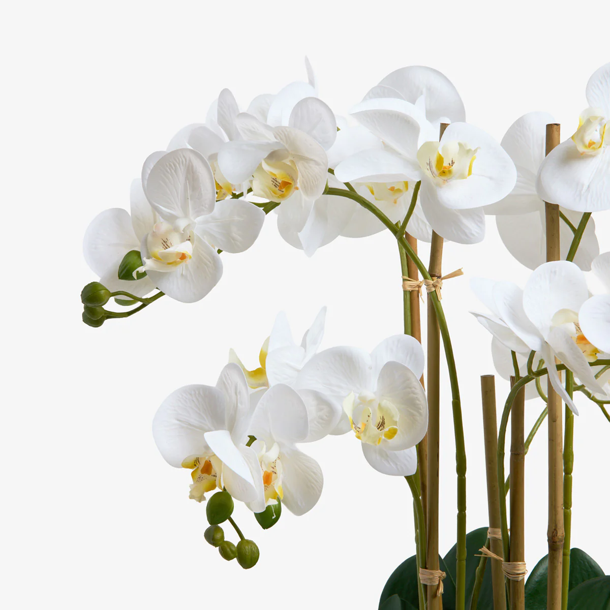 Artificial Orchid Six Spray 64cm (White) - Image 3
