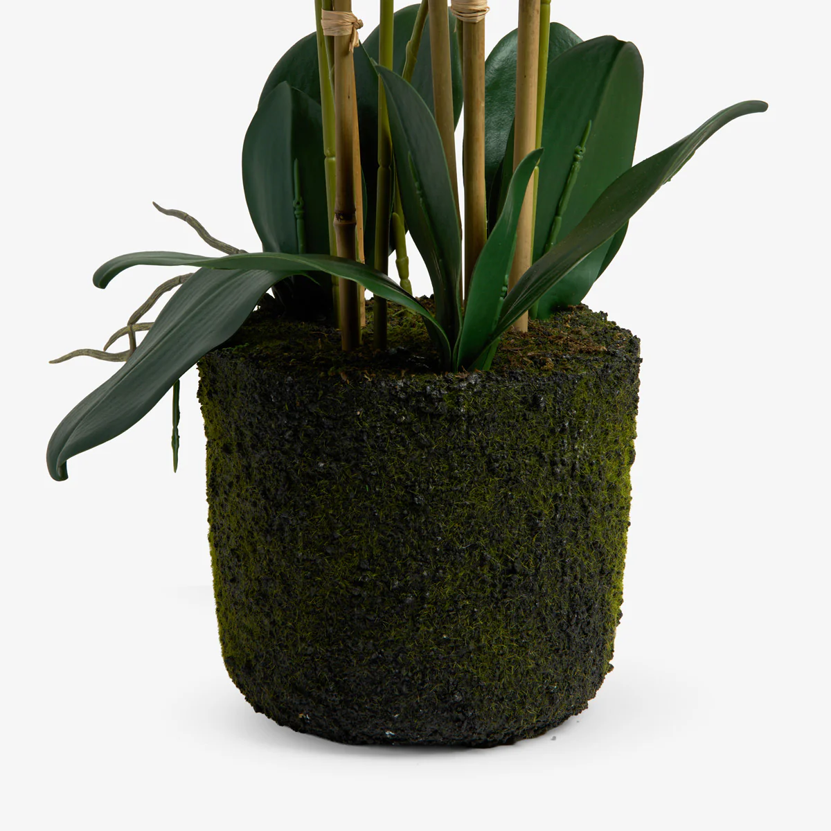 Artificial Orchid Six Spray 64cm (White) - Image 4