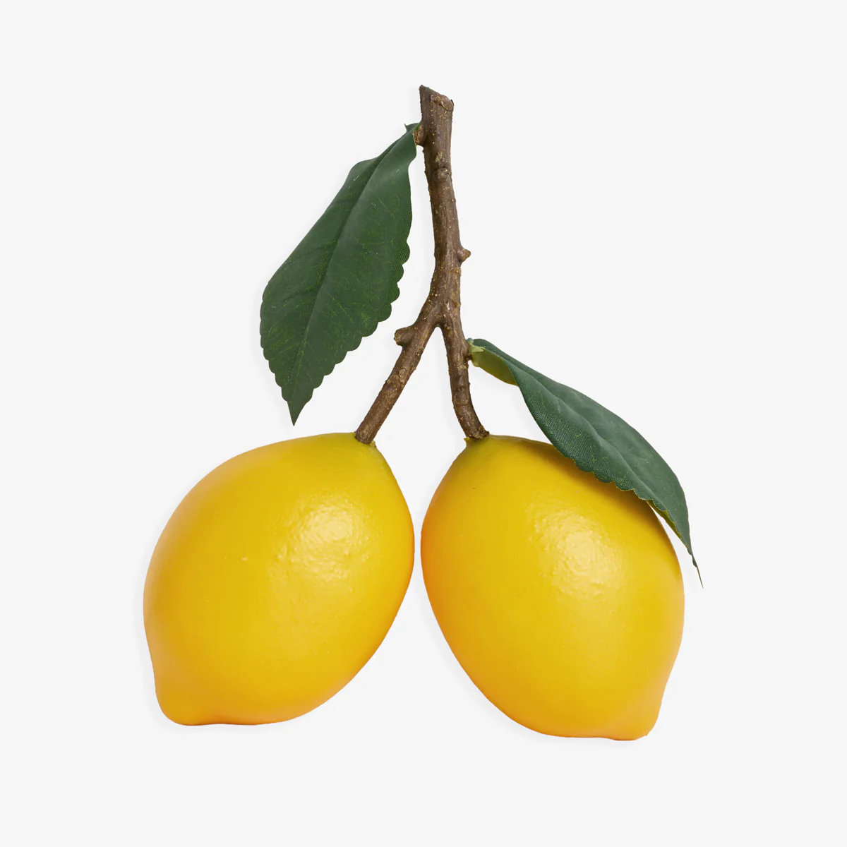 Artificial Pair Of Lemons