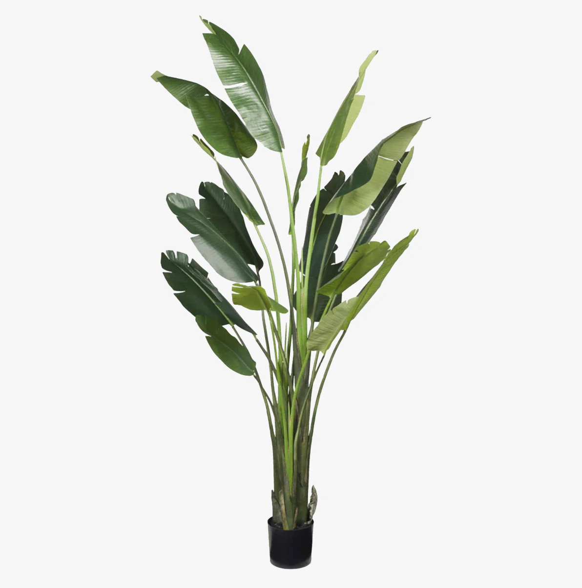 Artificial Traveller's Palm Tree