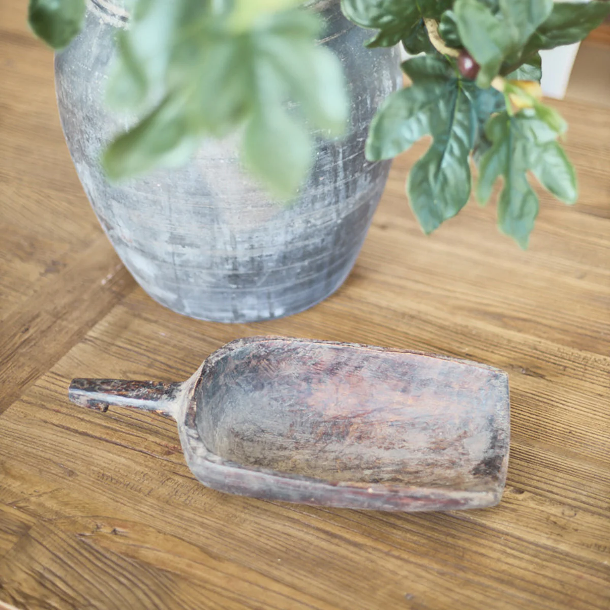 Bohai Timber Scoop - Image 2
