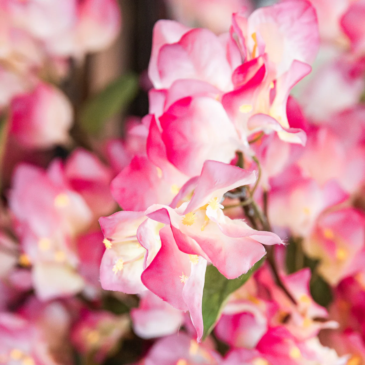 Artificial Bougainvillea Spray (Light Pink, 86cm) - Image 3