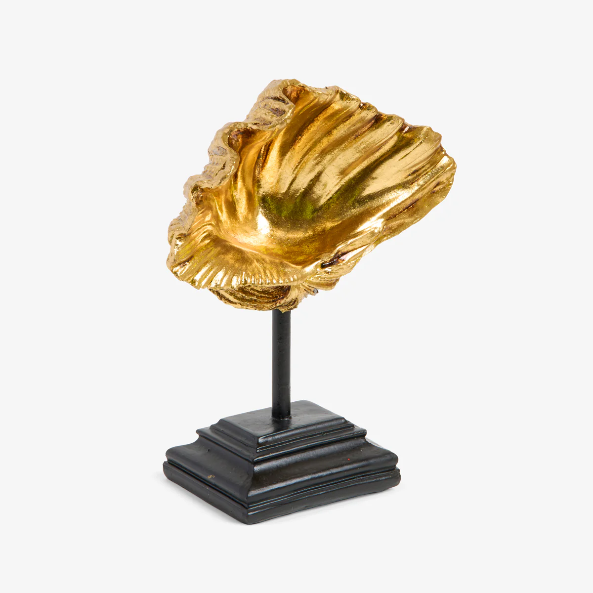 Clam On Stand (Gold) - Image 3