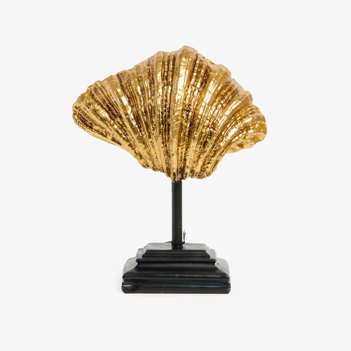 Clam On Stand (Gold) - Image 4