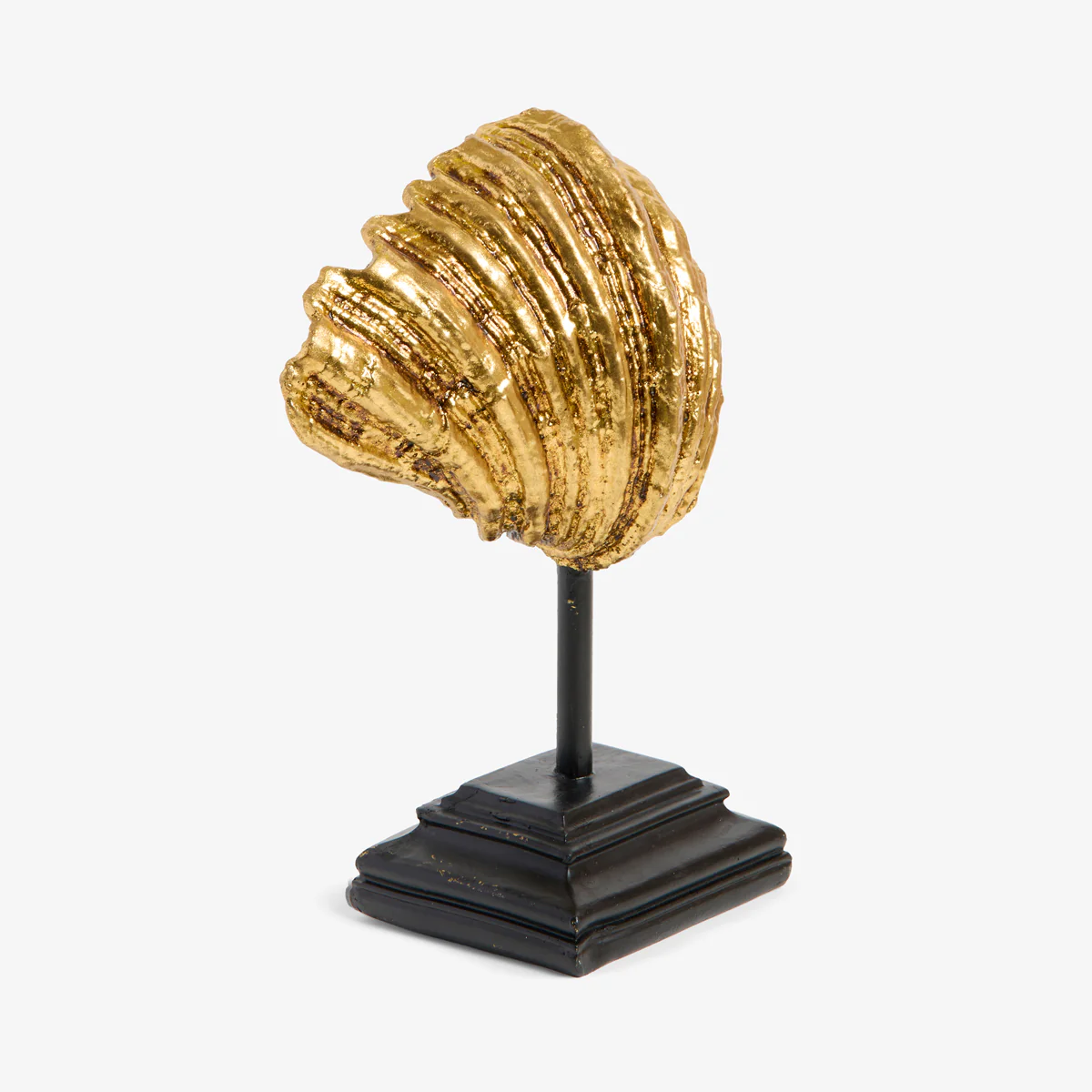 Clam On Stand (Gold) - Image 5