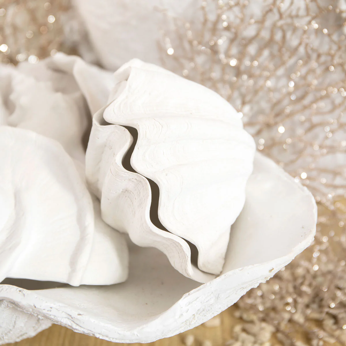 Clam Shell Trinket Boxes Resin (White) - Image 2