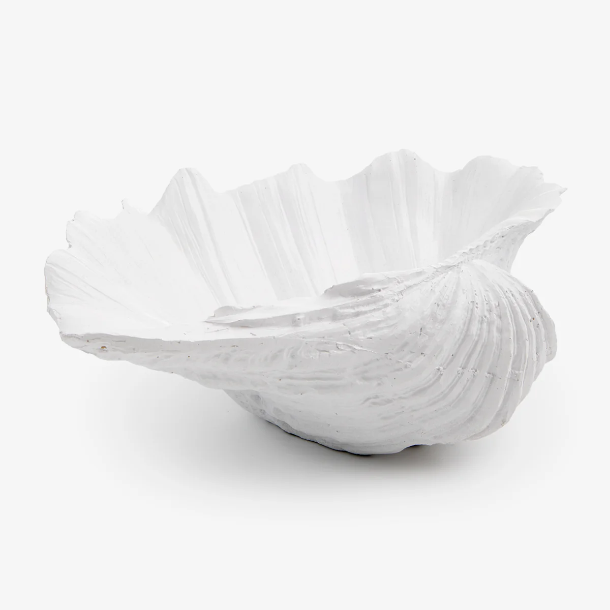Clam Shell (White 24cm) - Image 3