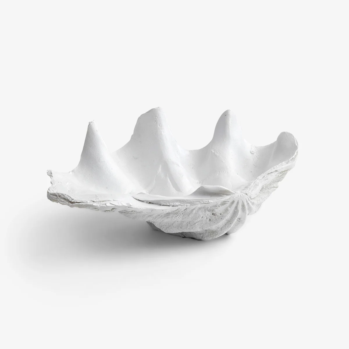 Clam Shell (White 40cm)