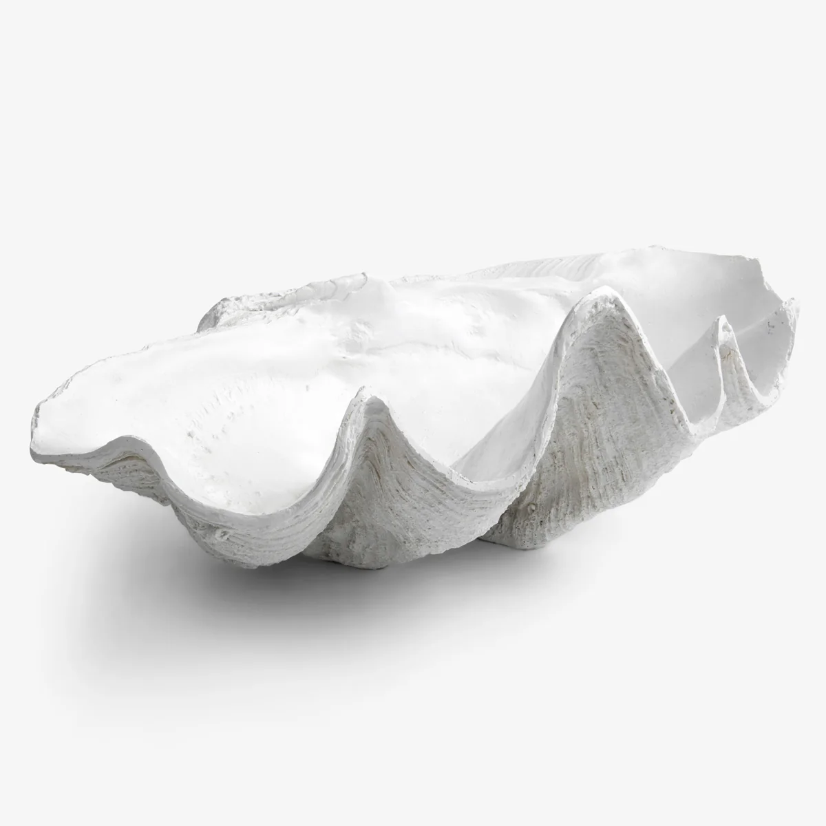 Clam Shell (White 68cm)