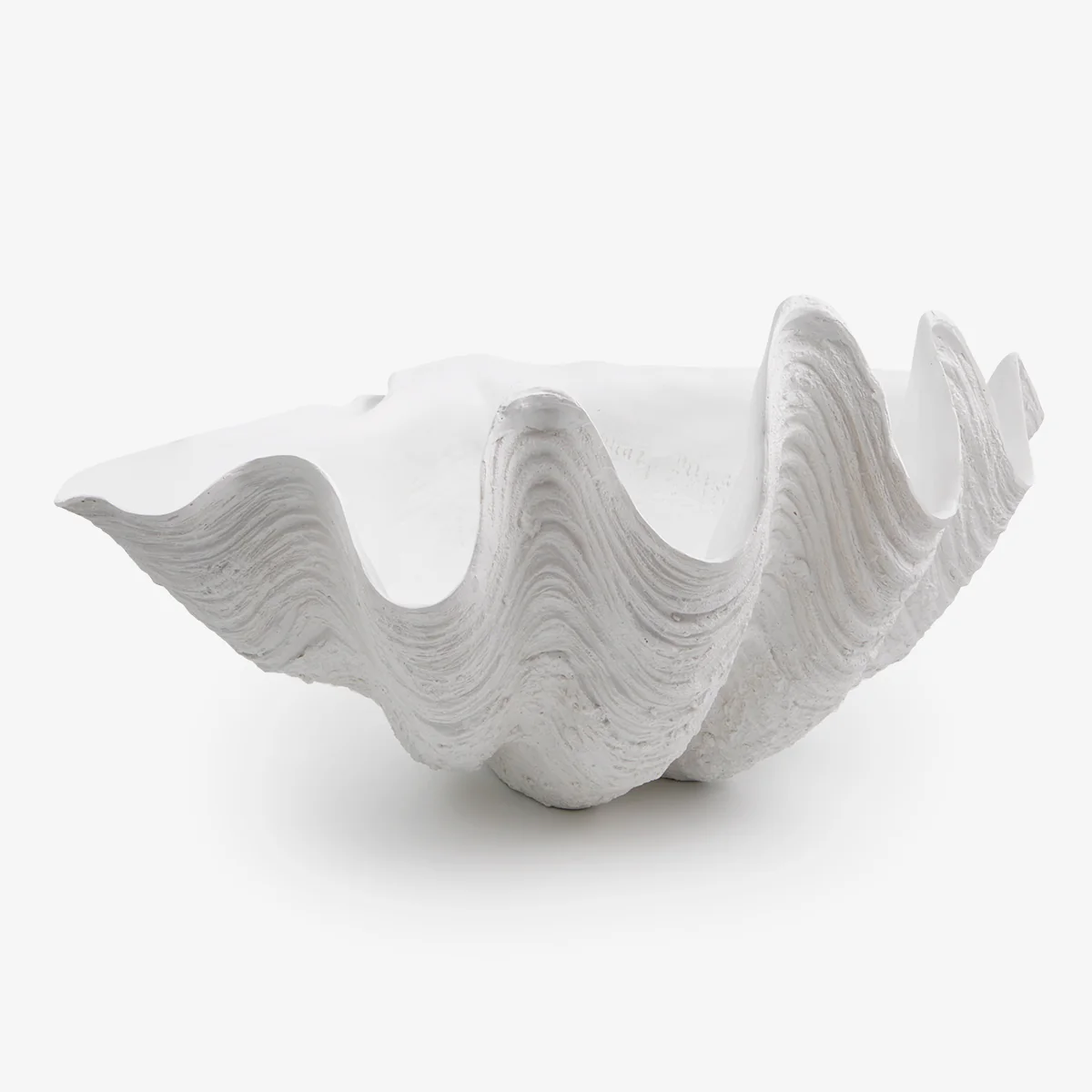 Clam Shell (White 84cm)