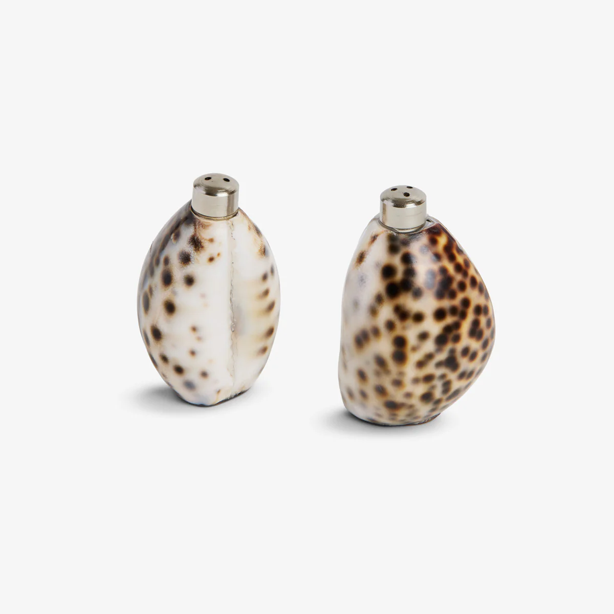 Cowrie Shell Salt & Pepper Shakers