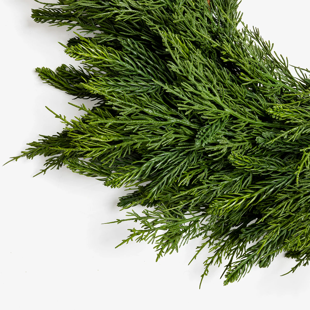 Cypress Fir Wreath 70cm PRE-ORDER - Image 2