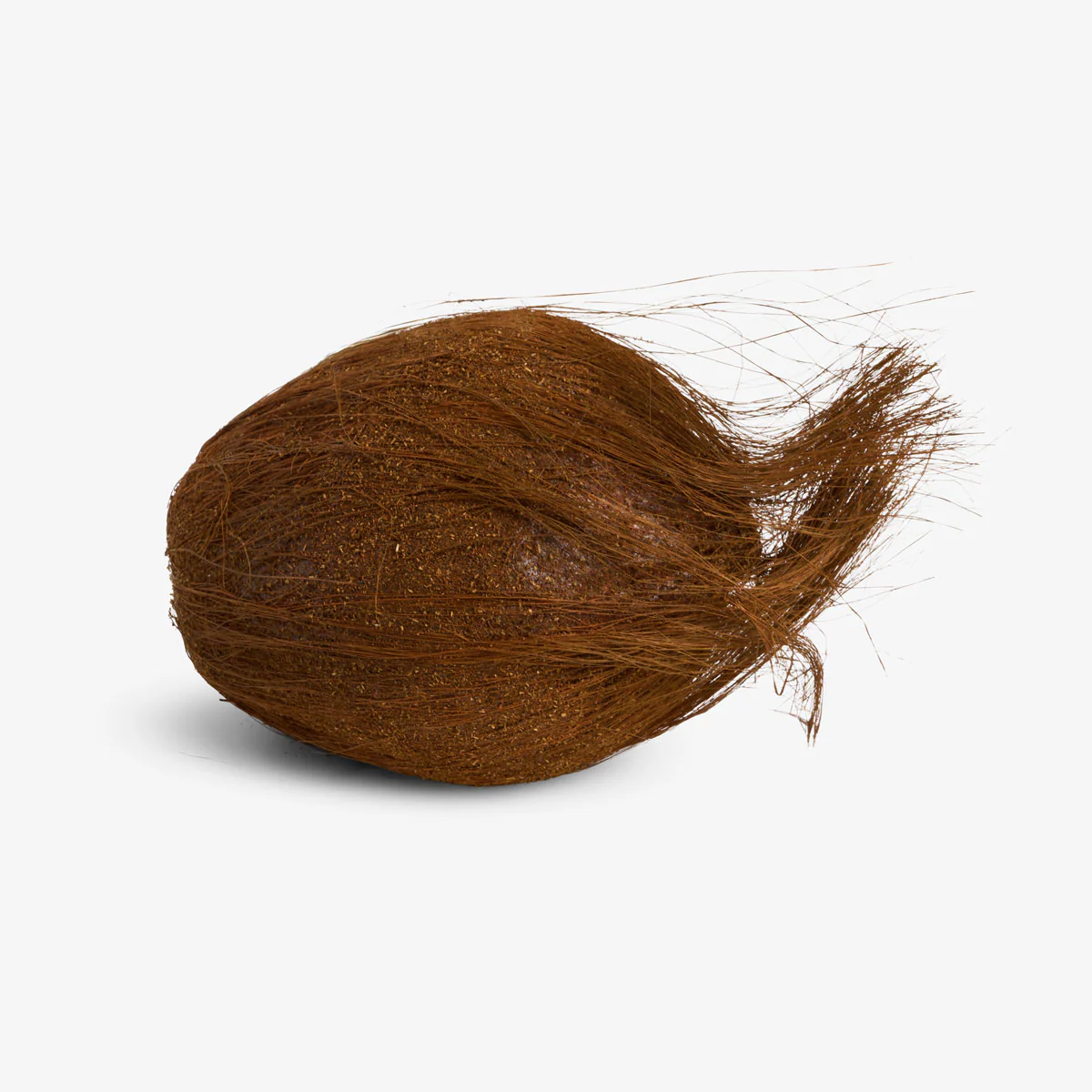Decorative Artificial Coconut