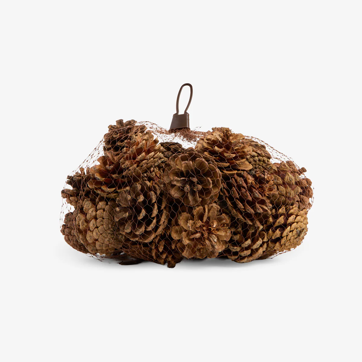 Evergreen Pinecones (Round)