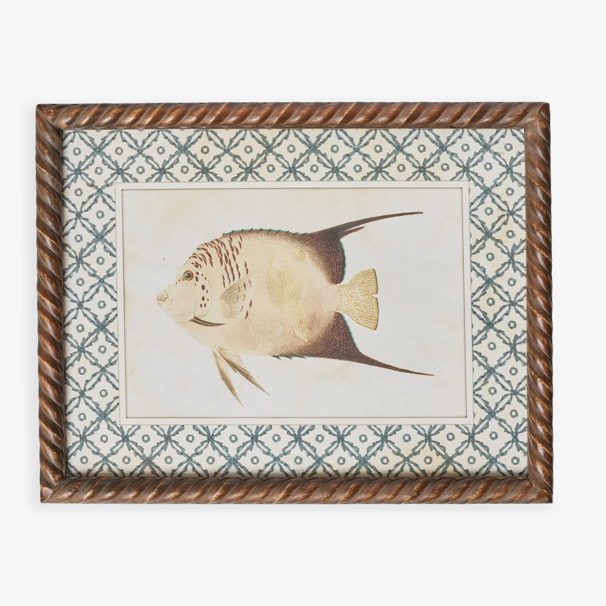 Fish Print In Braid Frame (Print C)