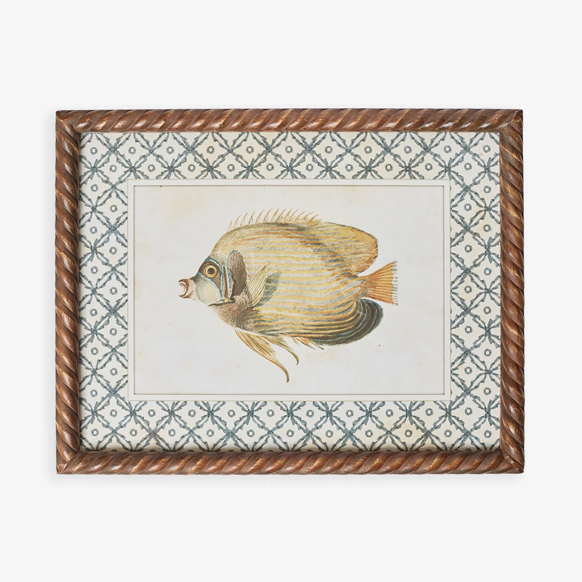 Fish Print In Braid Frame (Print D)