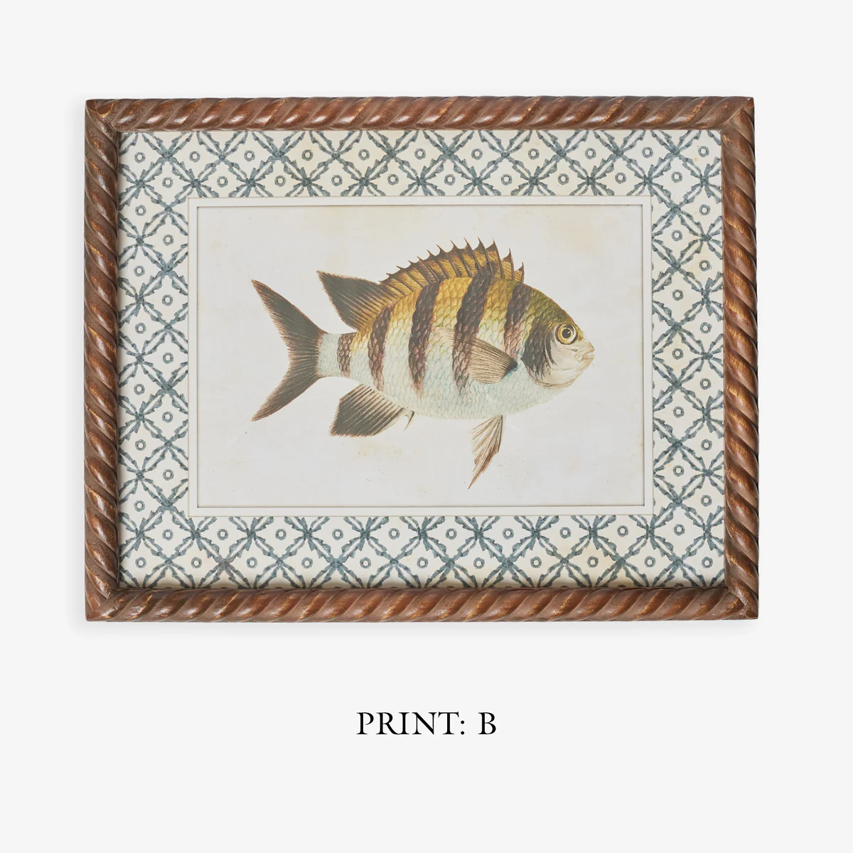 Fish Print In Braid Frame (Print C) - Image 7