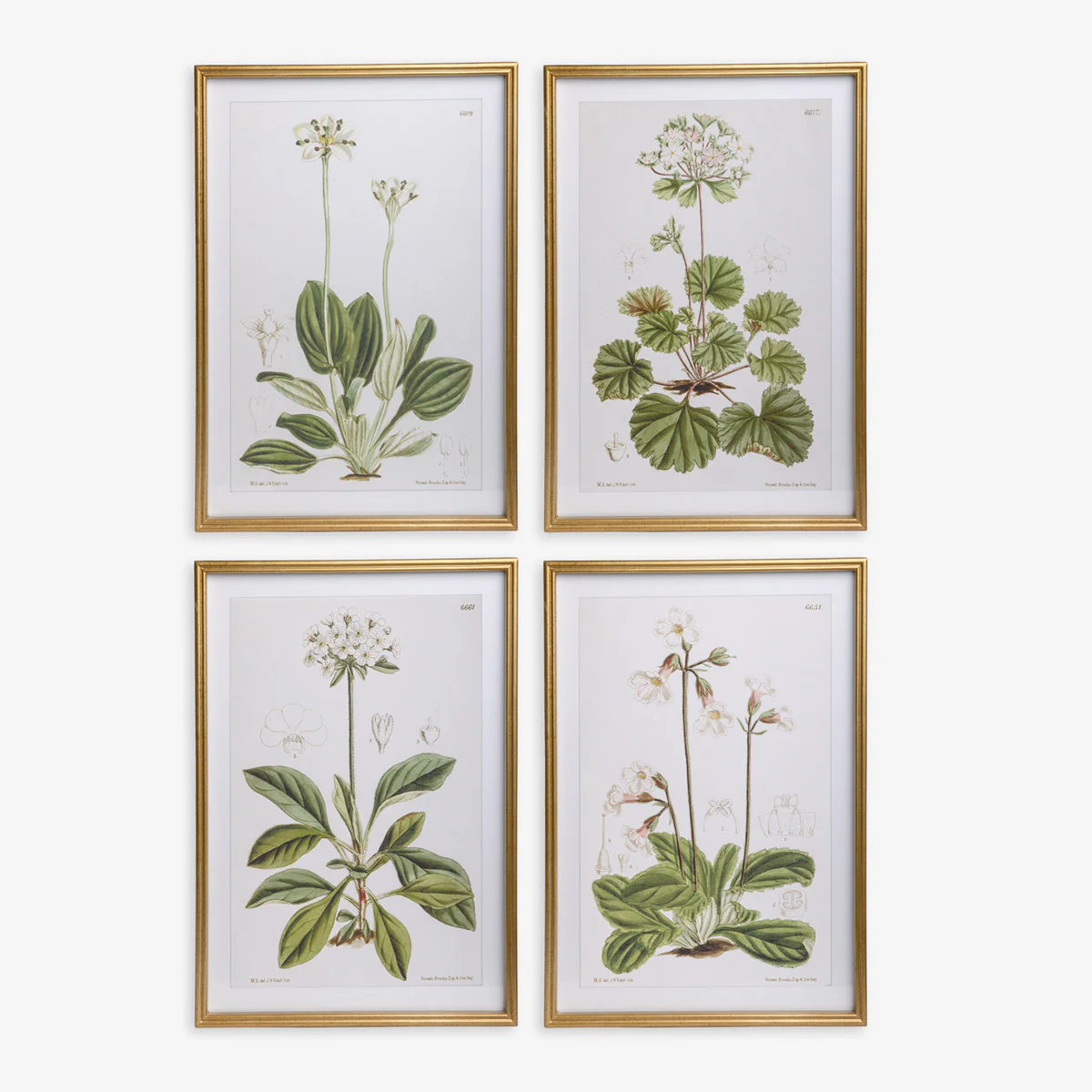 Floral 6651 (Print 4) - Image 3