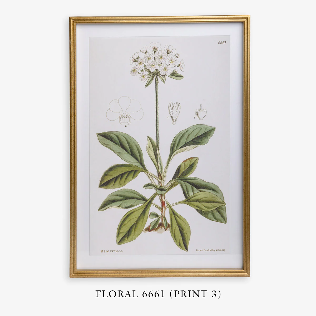 Floral 6651 (Print 4) - Image 6