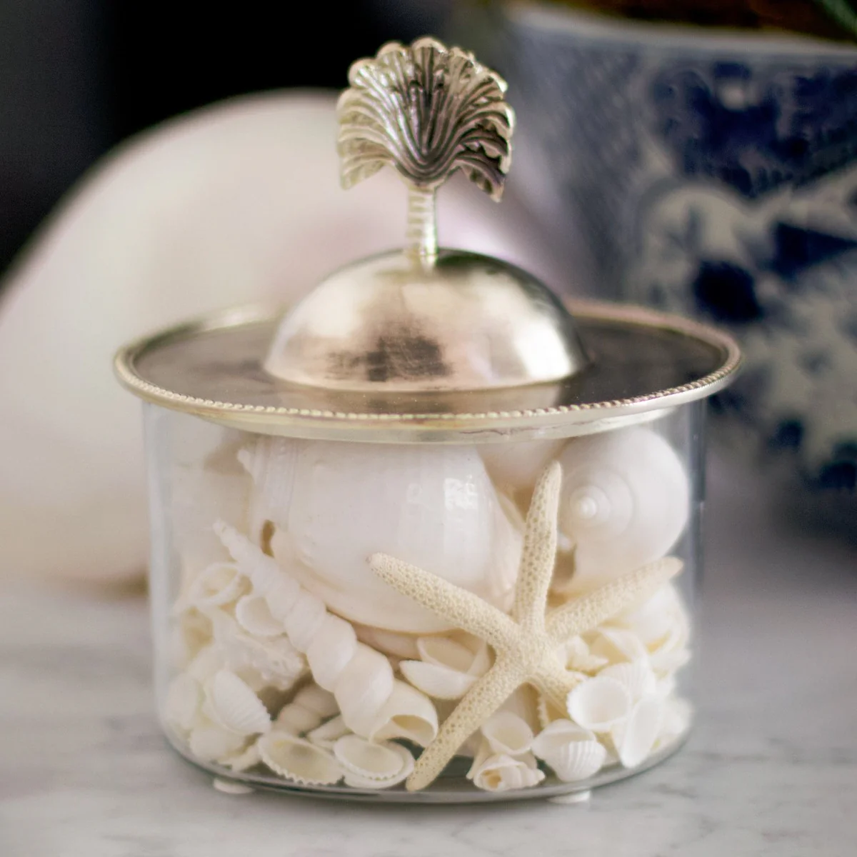 Palm Glass Box Container (Silver) - Image 4