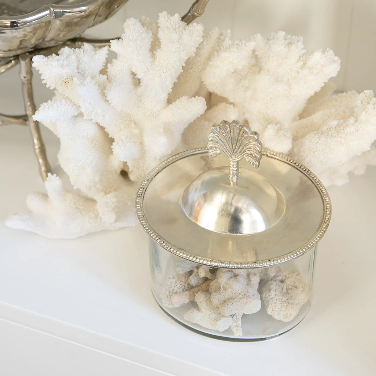 Palm Glass Box Container (Silver) - Image 5
