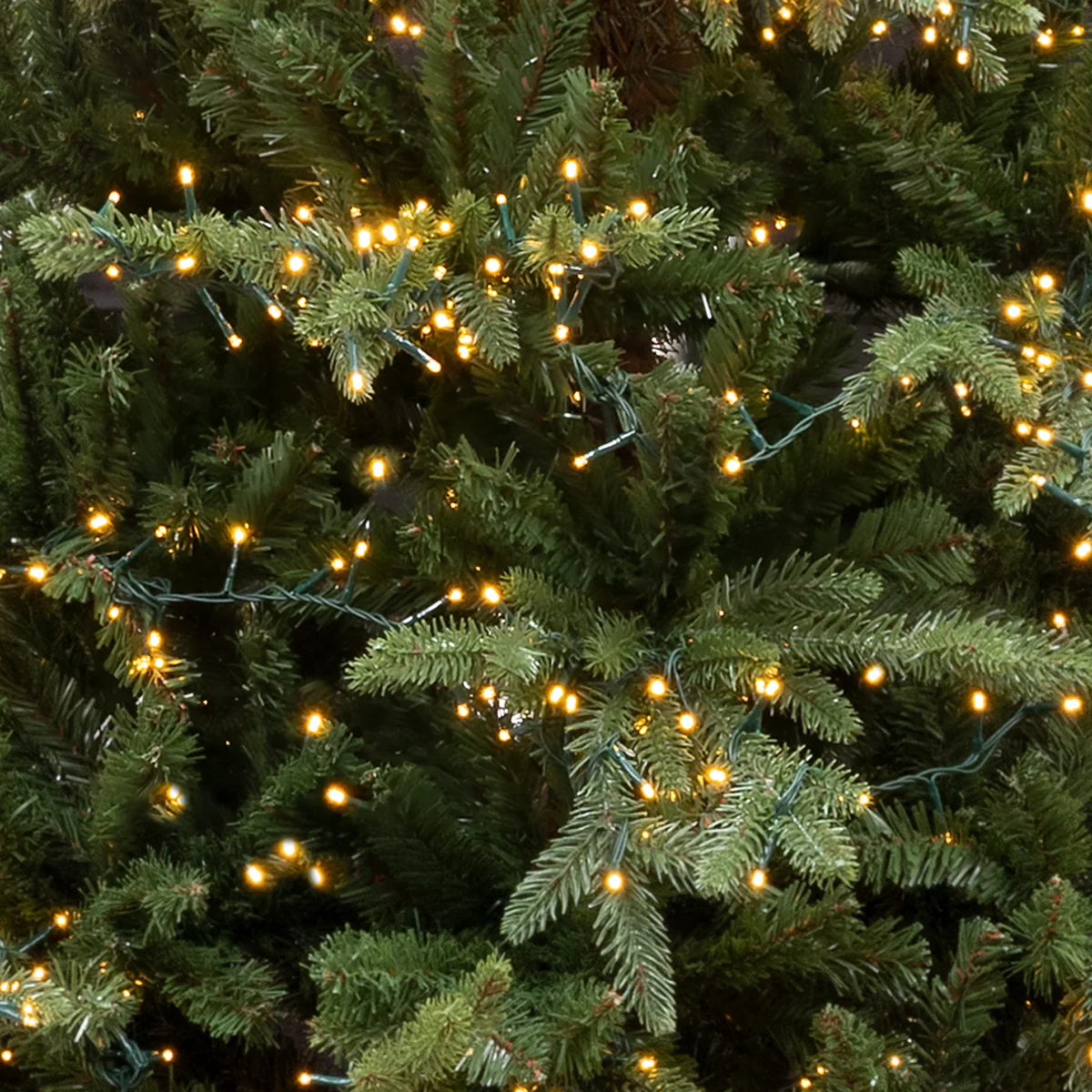 Grand Manhattan Pre-Lit Christmas Trees PRE-ORDER - Image 4
