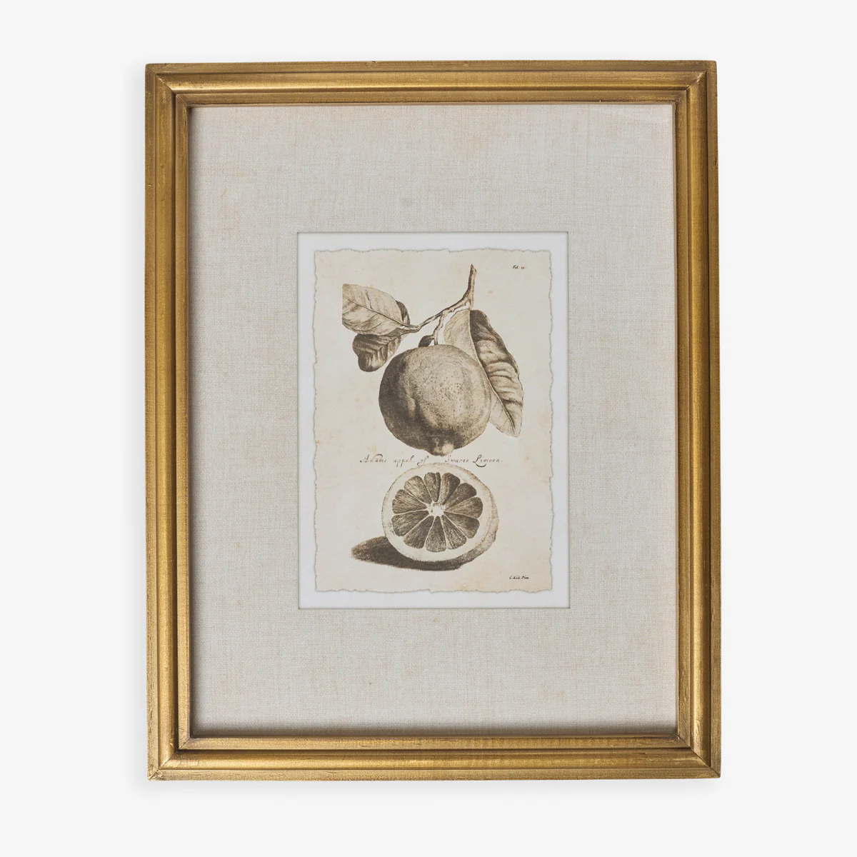 Lemons In Gold Frame (Print B)
