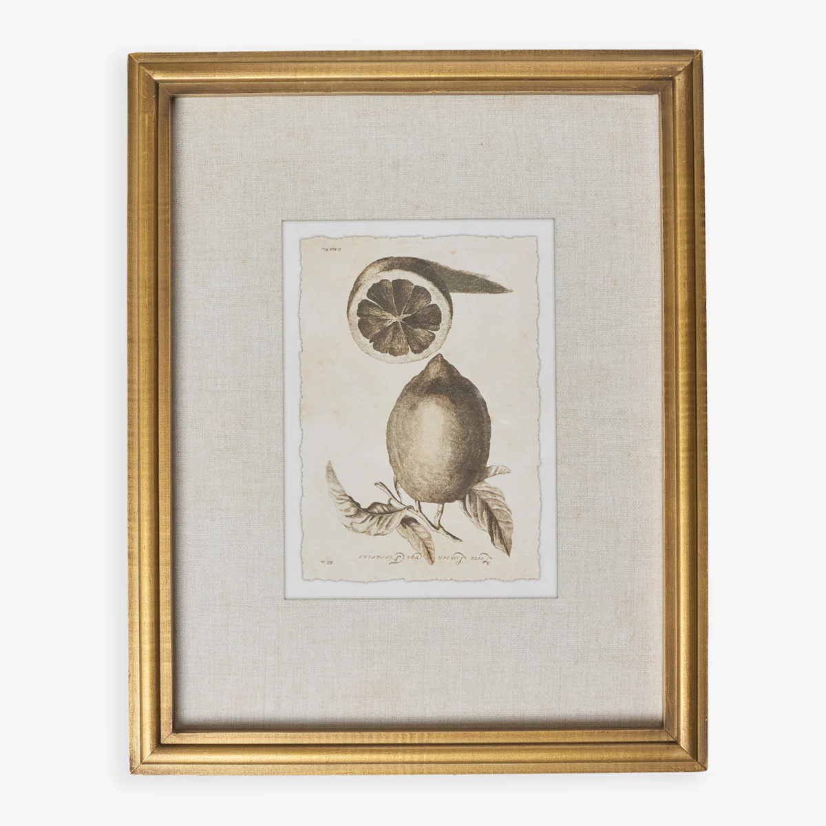 Lemons In Gold Frame (Print C)