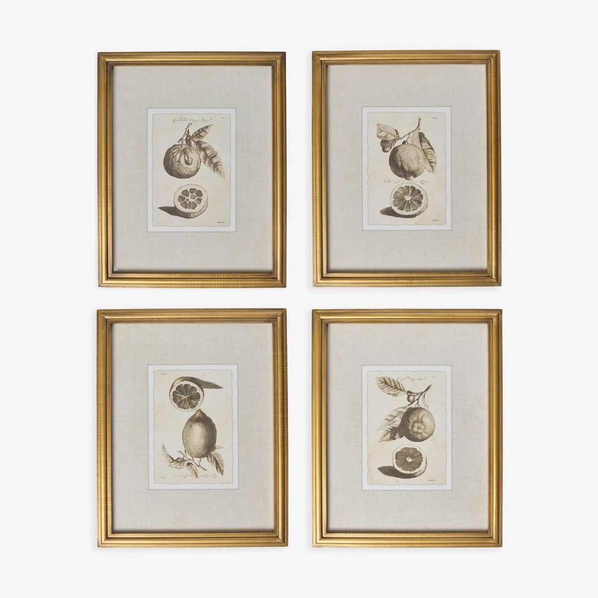 Lemons In Gold Frame (Print A) - Image 3