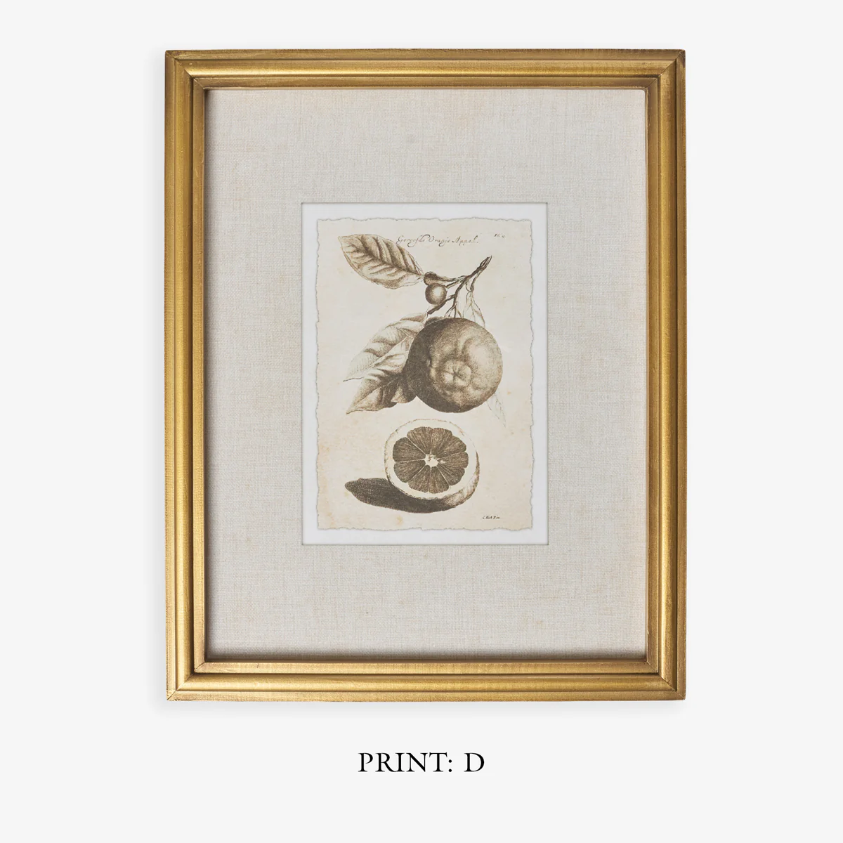 Lemons In Gold Frame (Print A) - Image 7
