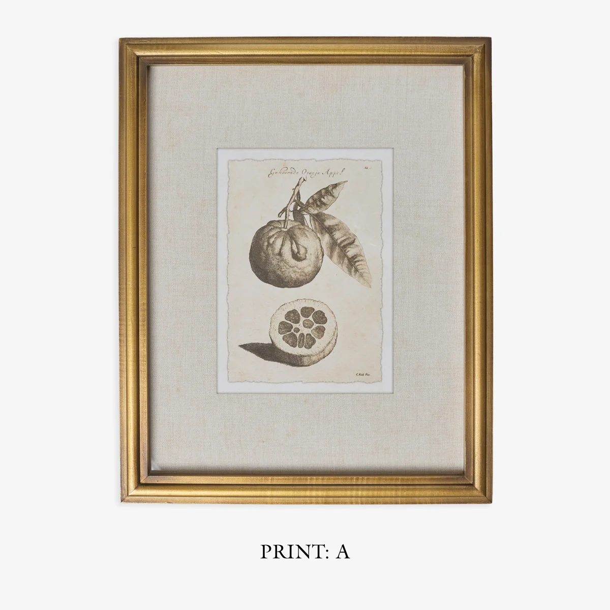Lemons In Gold Frame (Print A) - Image 4
