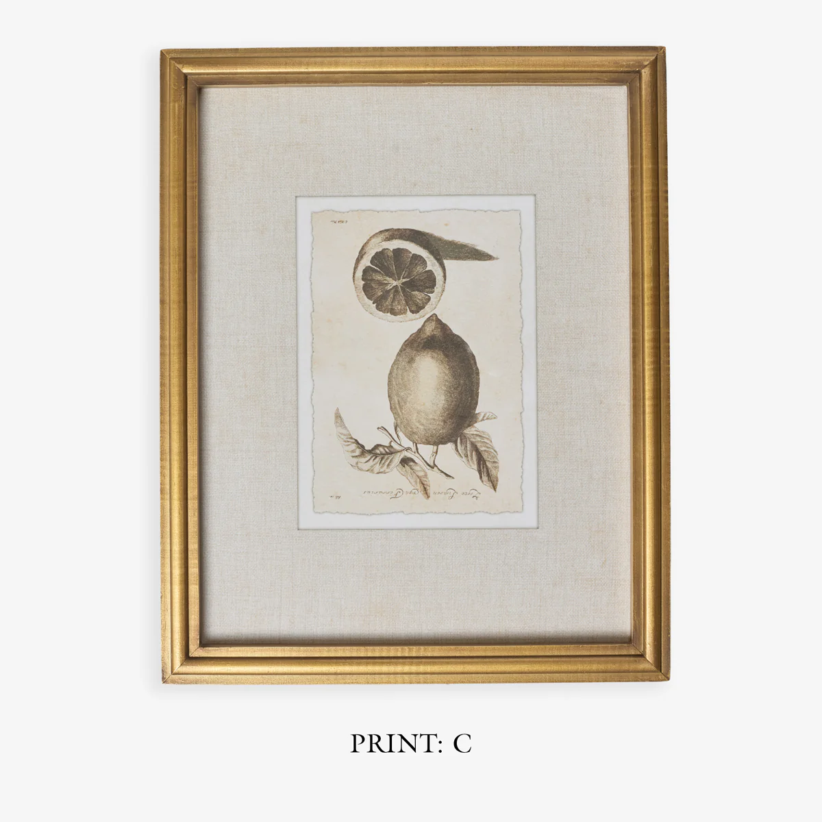 Lemons In Gold Frame (Print A) - Image 6
