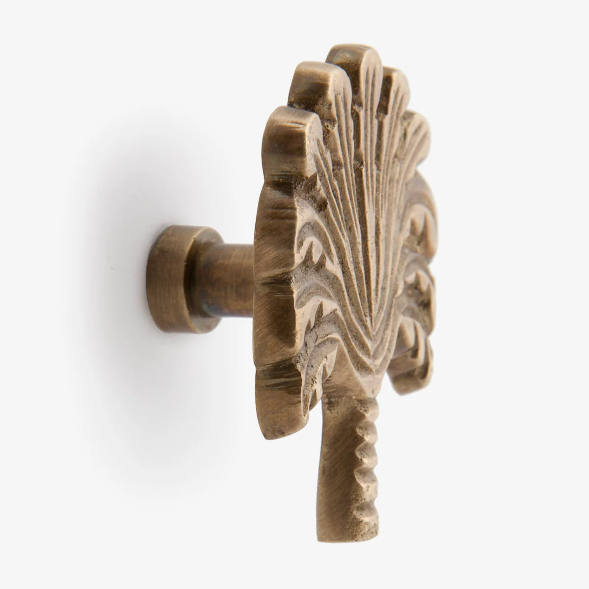 Palm Drawer Knob (Brass) - Image 3