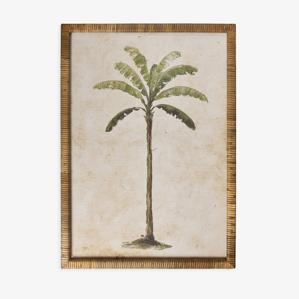 Palm Tree In Rattan Frame (Print A)