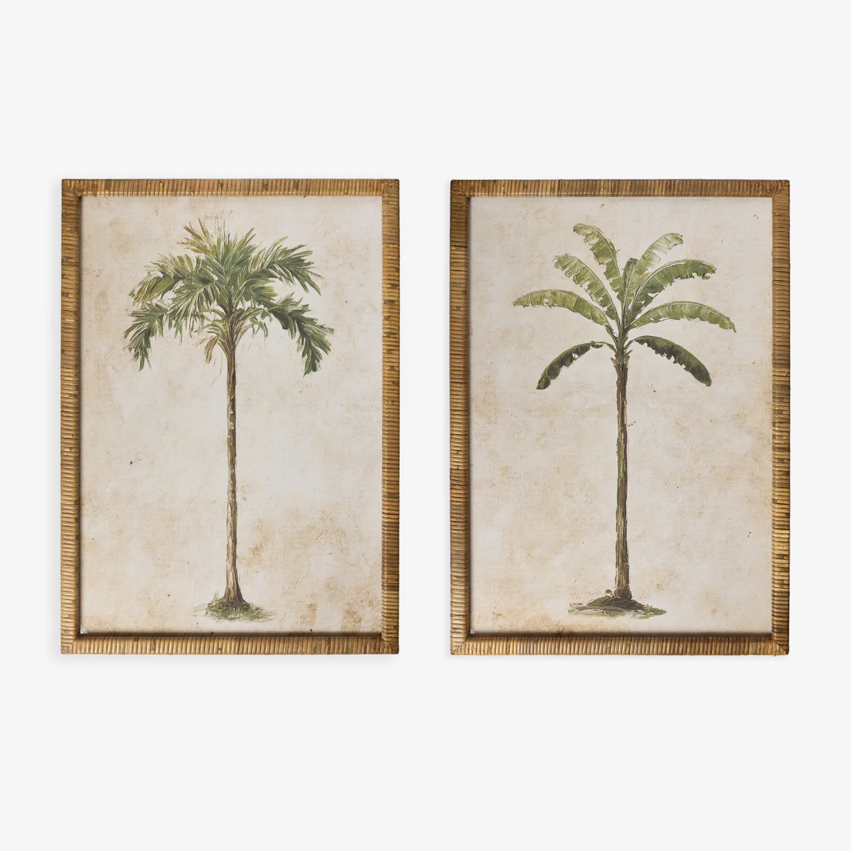 Palm Tree In Rattan Frame (Print A) - Image 3