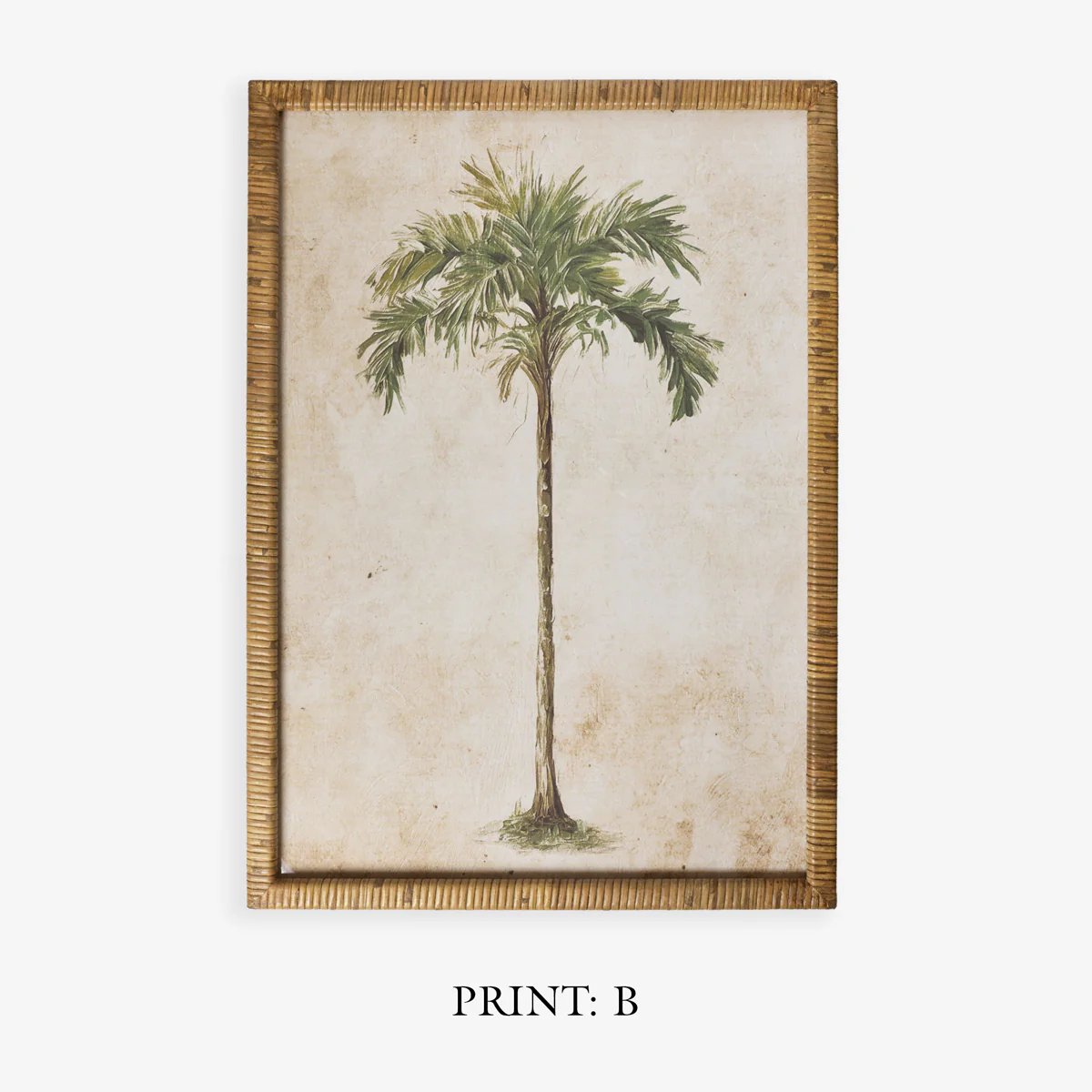 Palm Tree In Rattan Frame (Print A) - Image 5